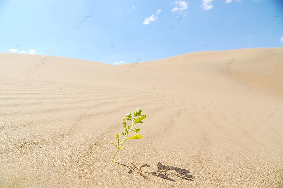 Bản năng sinh tồn của vạn vật mạnh mẽ vô cùng Bản năng sinh tồn của vạn vật mạnh mẽ vô cùng