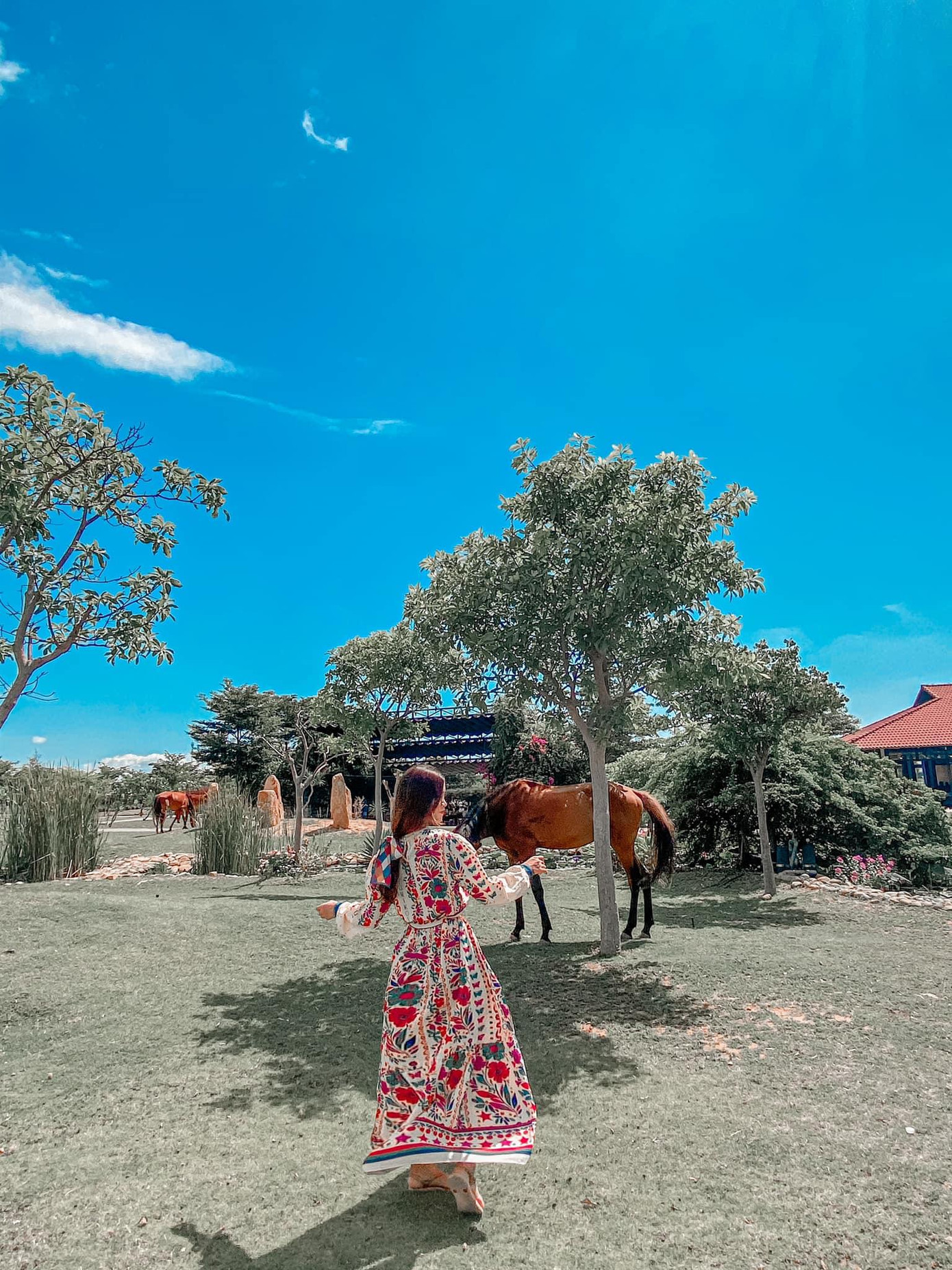 Trời xanh mây trắng - Ảnh: Hồng Cherry's Trời xanh mây trắng - Ảnh: Hồng Cherry's