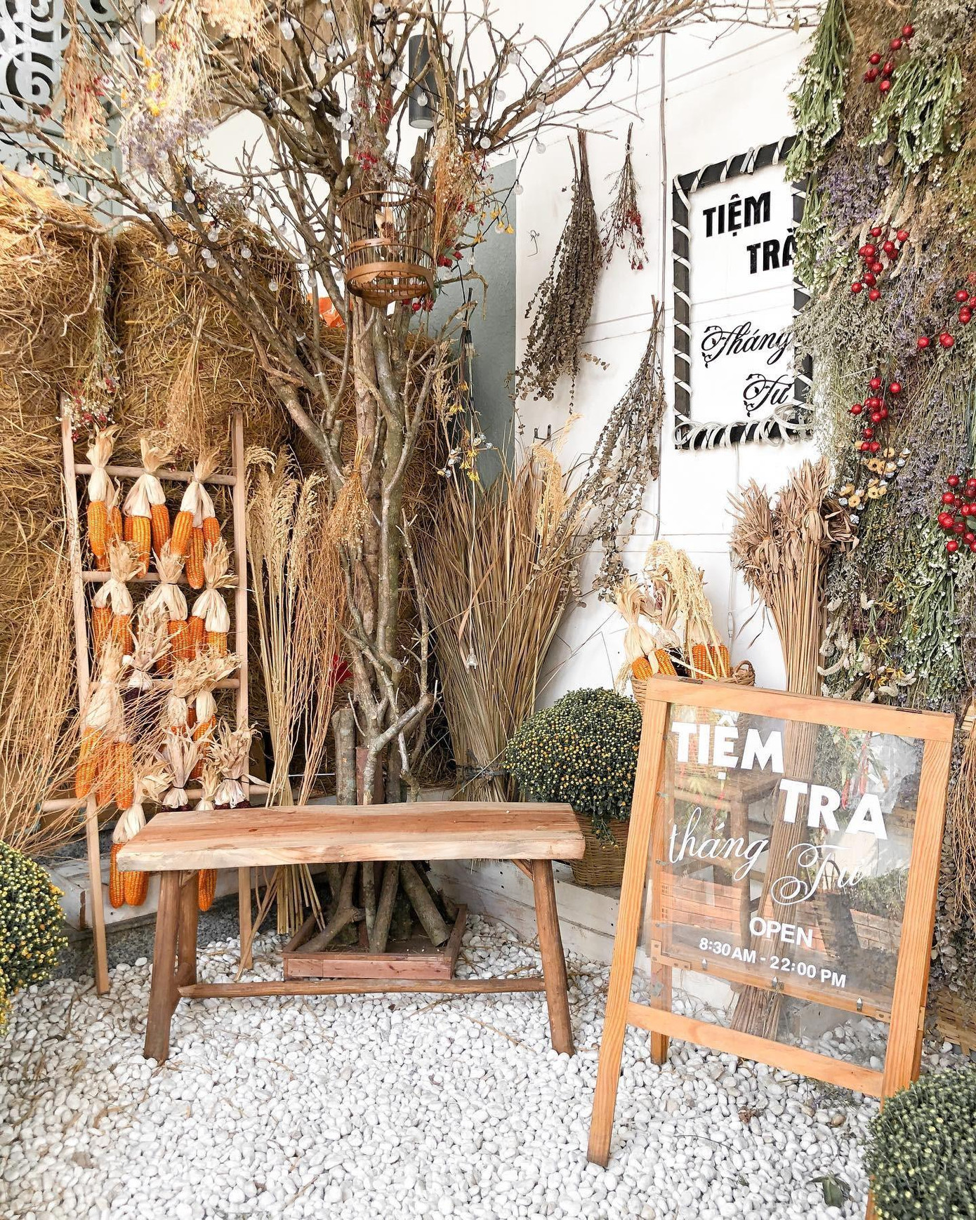 Ảnh: Tiệm Trà Tháng Tư Ảnh: Tiệm Trà Tháng Tư