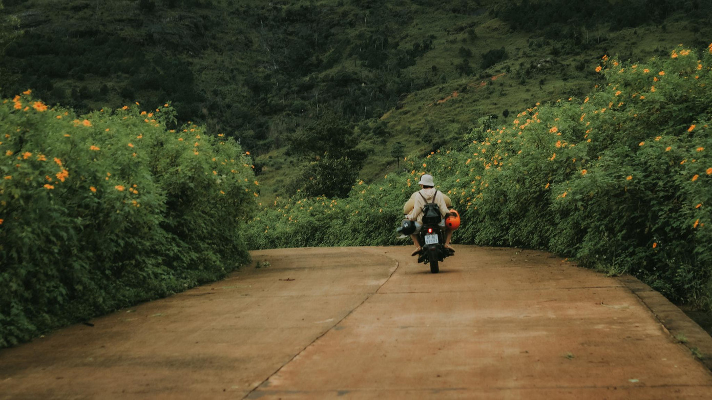 Vào mùa mưa, dù không đồng loạt bung nở nhưng những bụi dã quỳ lác đác dọc đường lên núi cũng đủ khiến lòng người ngất ngây - Ảnh: Binh Nguyen.