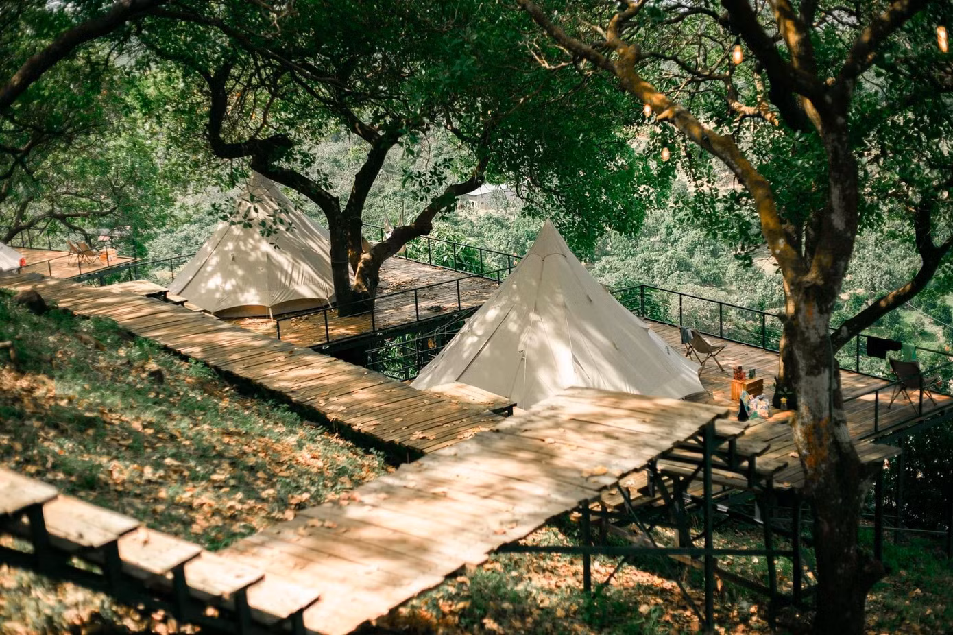 Bạn sẽ được ở trong những căn lều đầy đủ tiện nghi - Ảnh: Tropical EGlamping