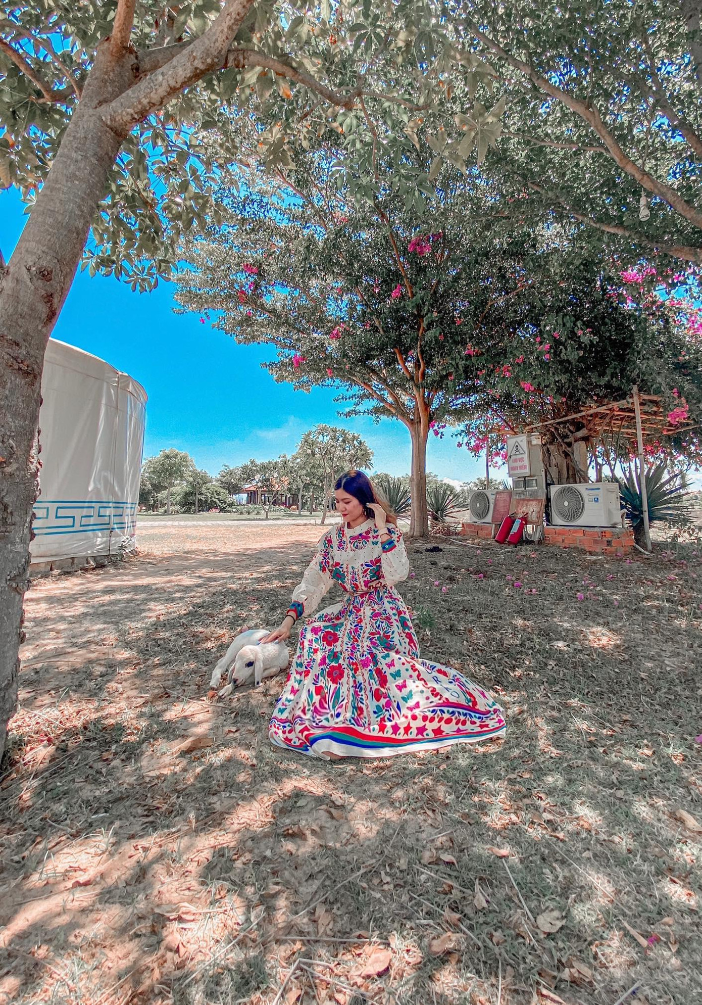 Người bạn bốn chân dễ thương - Ảnh: Hồng Cherry's Người bạn bốn chân dễ thương - Ảnh: Hồng Cherry's