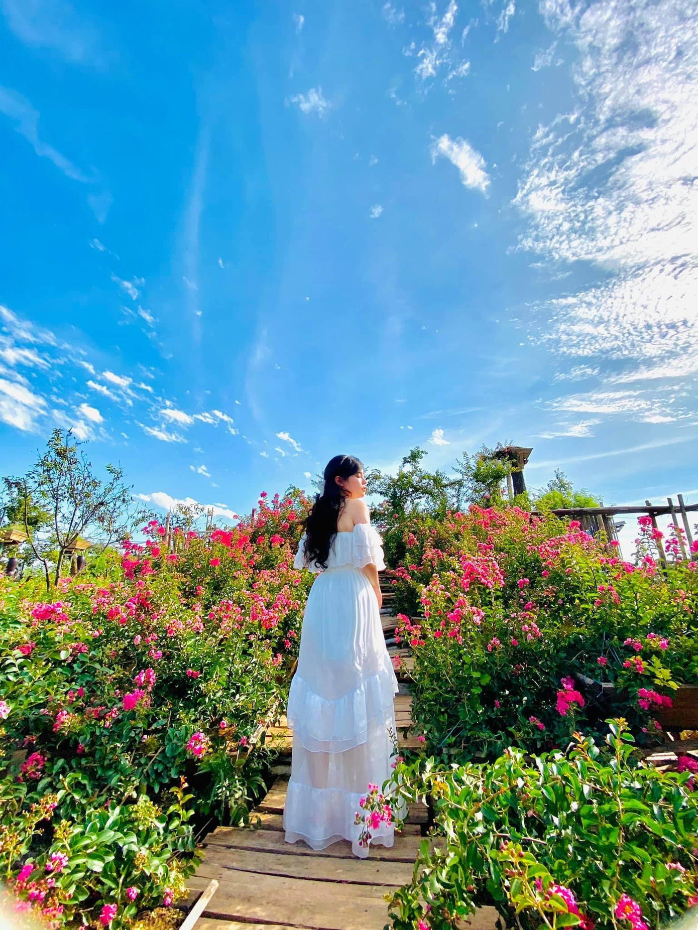 Trời xanh mây trắng - Ảnh: Nguyễn An Vi Trời xanh mây trắng - Ảnh: Nguyễn An Vi