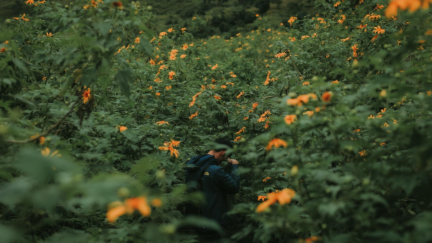 Hòa mình vào không gian núi rừng xanh ngát và thu được những bức ảnh tuyệt đẹp, trải nghiệm không thể bỏ qua khi ghé đến Chư Đăng Ya - Ảnh: Binh Nguyen.