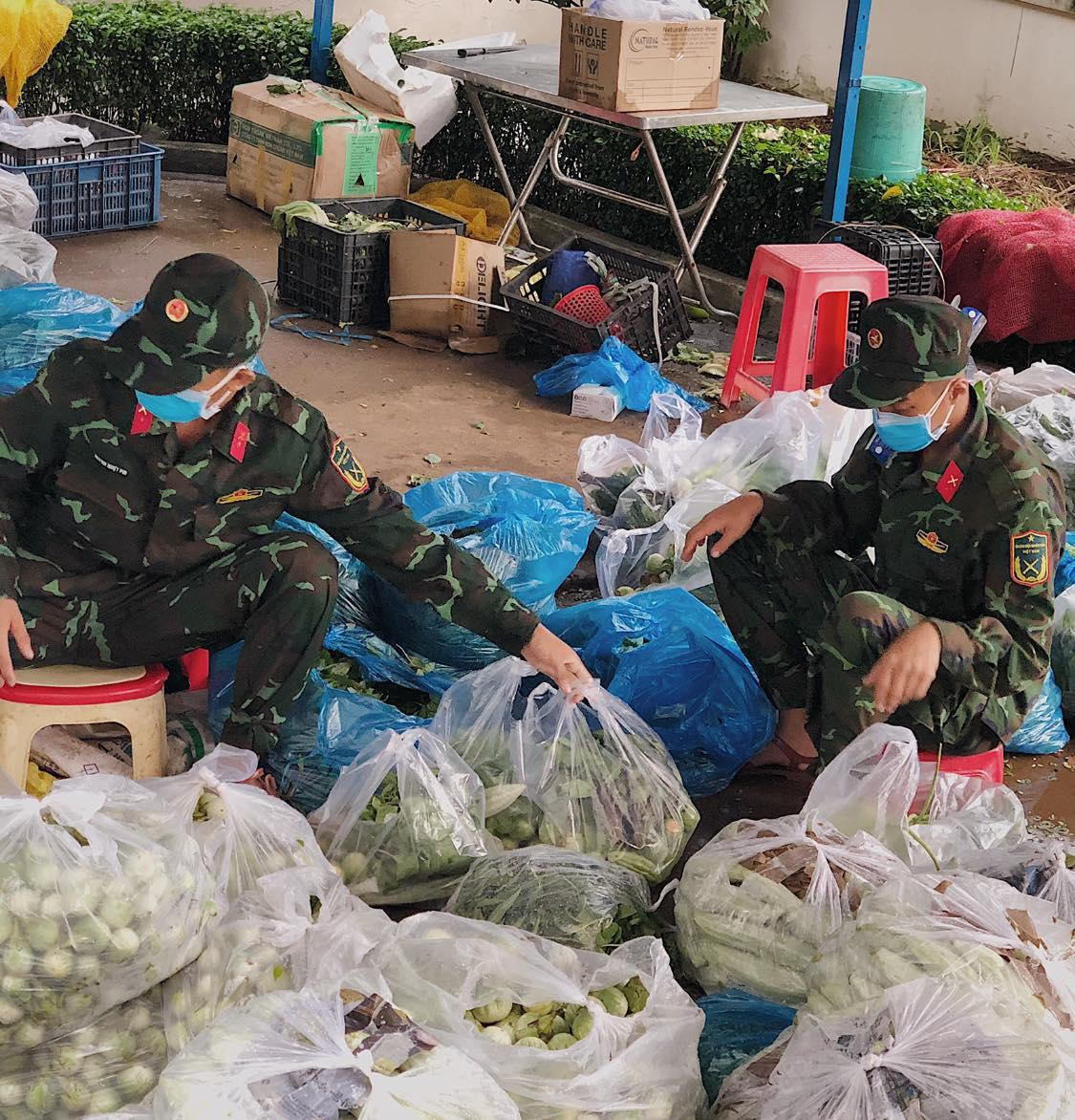 Phân loại rau củ thật nhanh