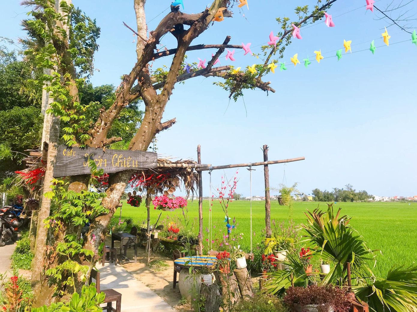 Ảnh: Xóm Chiêu Ảnh: Xóm Chiêu