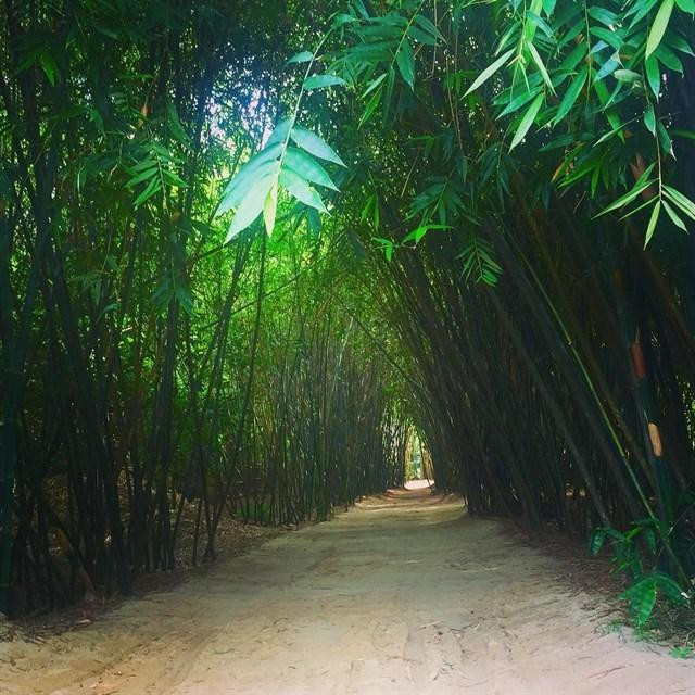 Ảnh: VTEAMBUILDING