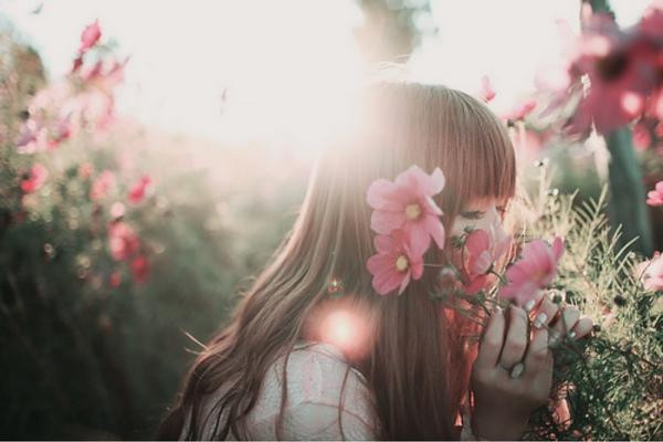 Nếu cái cây không nở hoa, hãy cứ tận hưởng bóng mát từ những tán lá.