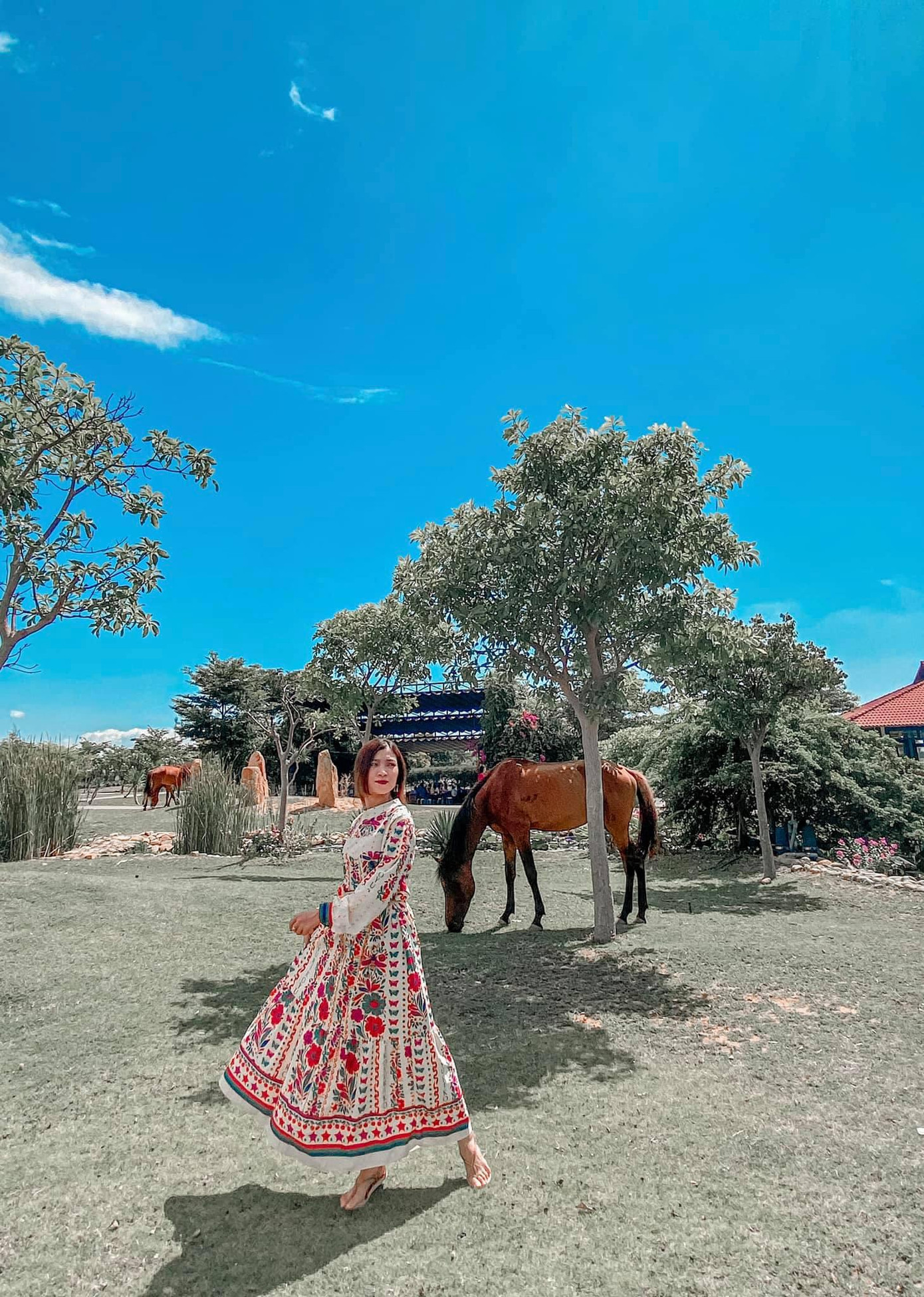 Vũ điệu trên thảo nguyên - Ảnh: Hồng Cherry's Vũ điệu trên thảo nguyên - Ảnh: Hồng Cherry's