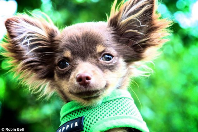 Đáng yêu và dễ thương hết sức nhé!