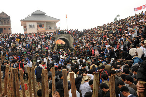 Năm nay cũng vậy, khán giả vẫn phải chen chúc, nhích từng bước một mới có thể vào được bên trong sới chọi