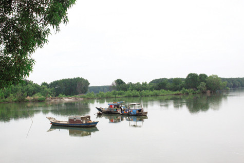Vùng sông nước Nhơn Trạch, chốn ẩn náu khi xưa của băng cướp Tám Lũy.