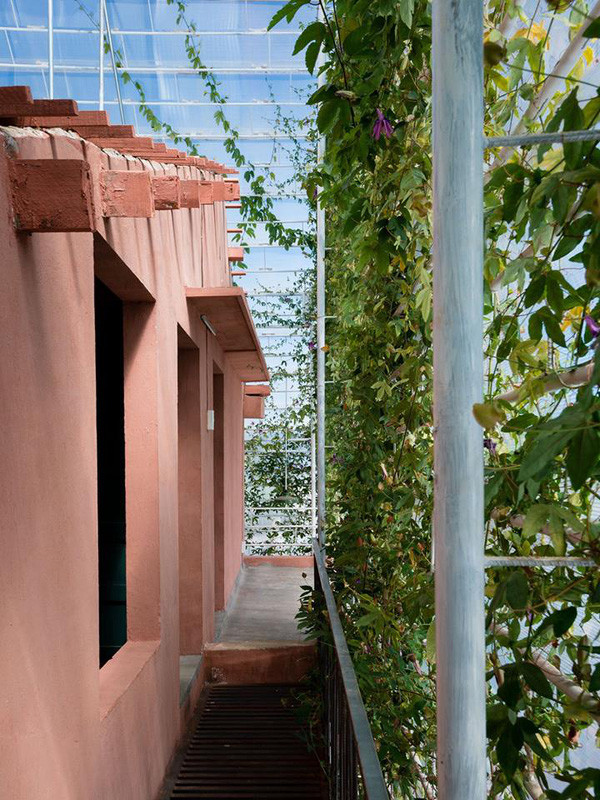 Ngôi nhà tồi tàn bỏ hoang 20 năm đẹp ngỡ ngàng sau cải tạo ảnh 8