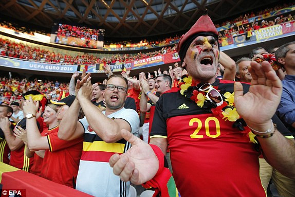 Nainggolan tỏa sáng, Bỉ tiễn Thụy Điển hồi hương ảnh 8