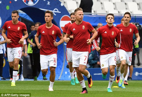 TRỰC TIẾP EURO: Hungary gieo sầu cho Áo ảnh 19