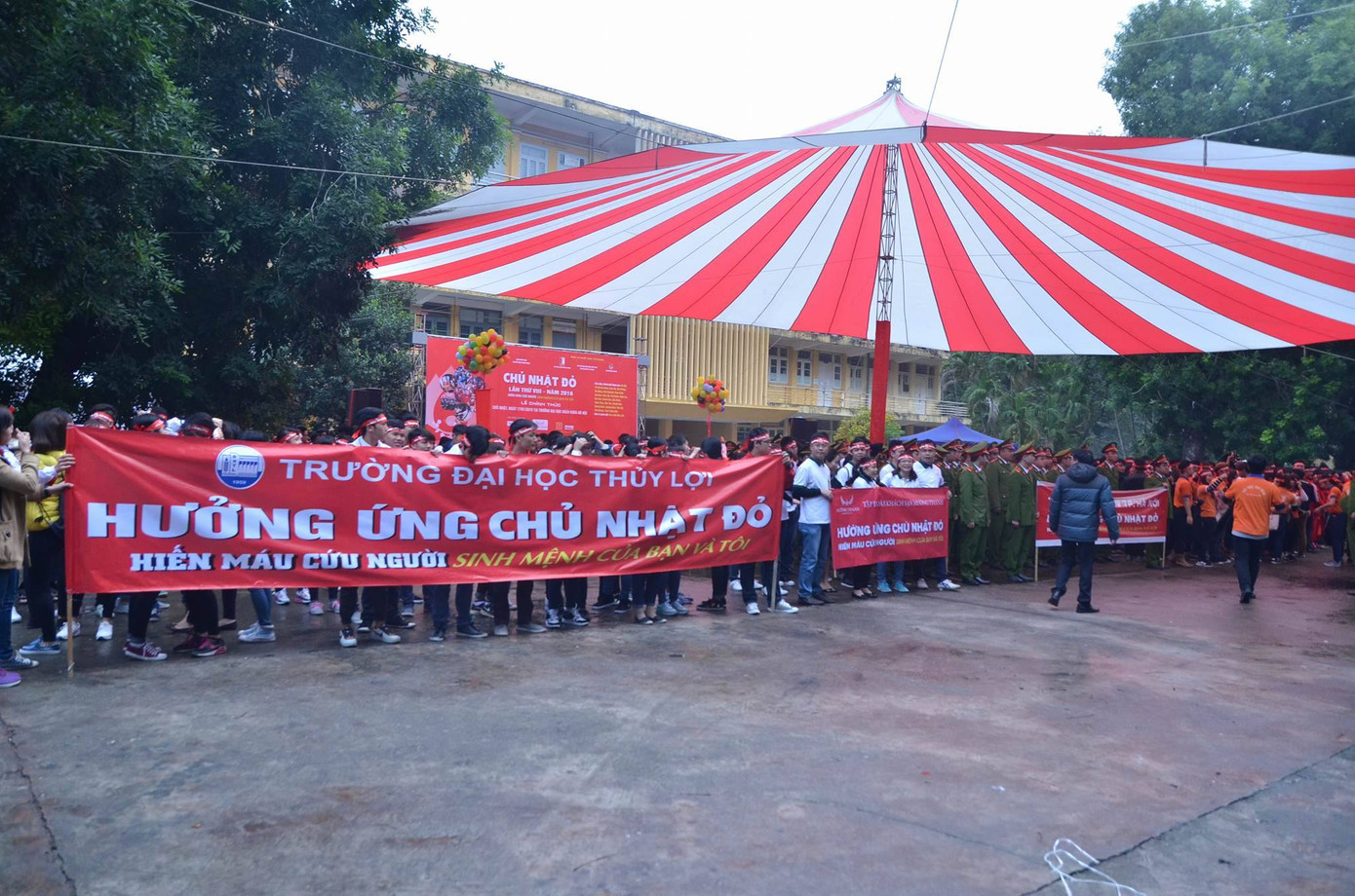 Chủ Nhật Đỏ 2016 đã tiếp nhận 11.763 đơn vị máu ảnh 94