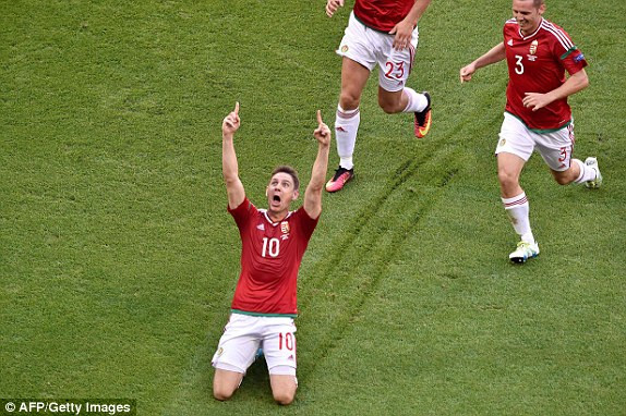 Ronaldo giải cứu Bồ Đào Nha trong cơn mưa gôn ảnh 14