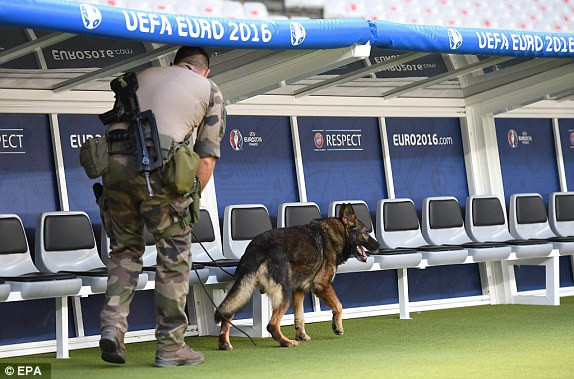 Bồ Đào Nha vô địch EURO nhờ 'bàn thắng vàng' ảnh 11