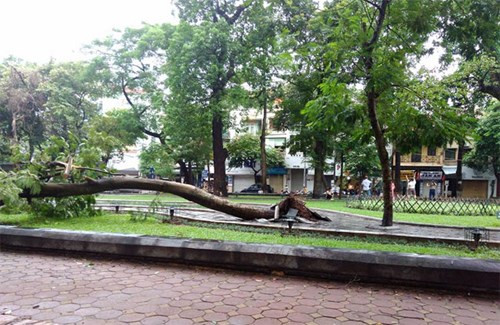 Bão số 3 vào Hà Nội suy yếu thành áp thấp nhiệt đới ảnh 23