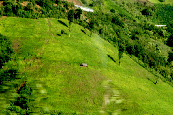 Những ngôi nhà nằm giữa thảo nguyên xanh