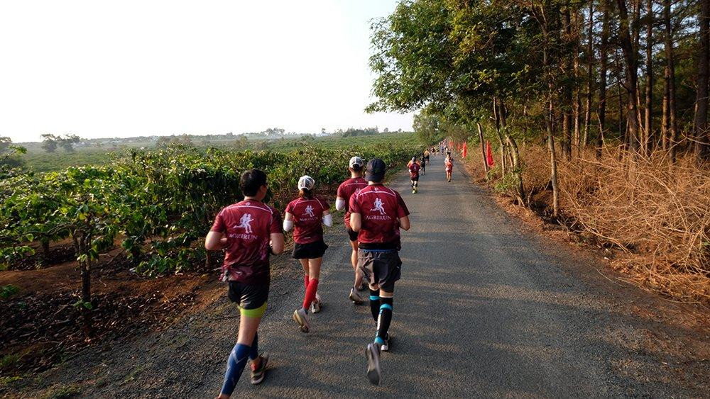 Cung đường ở phố núi Pleiku tuyệt đẹp khi xuyên qua những vườn cà phê, cánh đồng chè..., nhưng cũng không kém phần thử thách khi điệp trùng dốc và nắng gió cao nguyên. Dù ở cự ly nào 5km, 10km hay 21,1km, 42,195km đều đòi hỏi các vận động viên nỗ lực và giữ vững ý chí vượt qua giới hạn bản thân. Cung đường ở phố núi Pleiku tuyệt đẹp khi xuyên qua những vườn cà phê, cánh đồng chè..., nhưng cũng không kém phần thử thách khi điệp trùng dốc và nắng gió cao nguyên. Dù ở cự ly nào 5km, 10km hay 21,1km, 42,195km đều đòi hỏi các vận động viên nỗ lực và giữ vững ý chí vượt qua giới hạn bản thân.