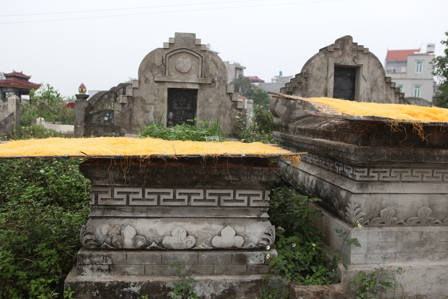 Hoặc phơi trên các ngôi mộ ngoài bãi tha ma