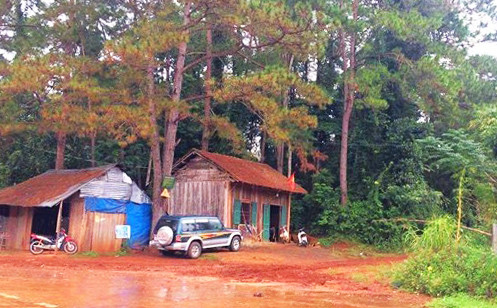 Gỗ lậu Gia Lai vẫn 'nóng' sau lệnh đóng cửa rừng ảnh 3