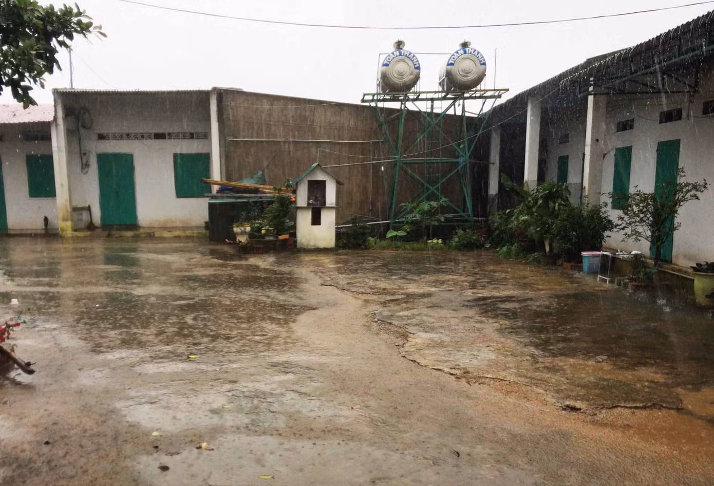 Tin mới nhất vụ nữ giúp việc 9X bị chủ tra tấn như thời trung cổ ảnh 3