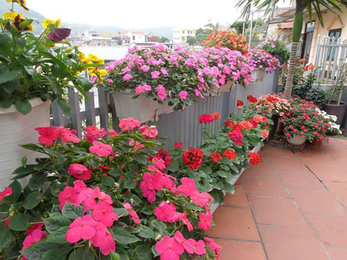 Ngôi nhà ba tầng lãng mạn với hoa nở quanh năm ảnh 4