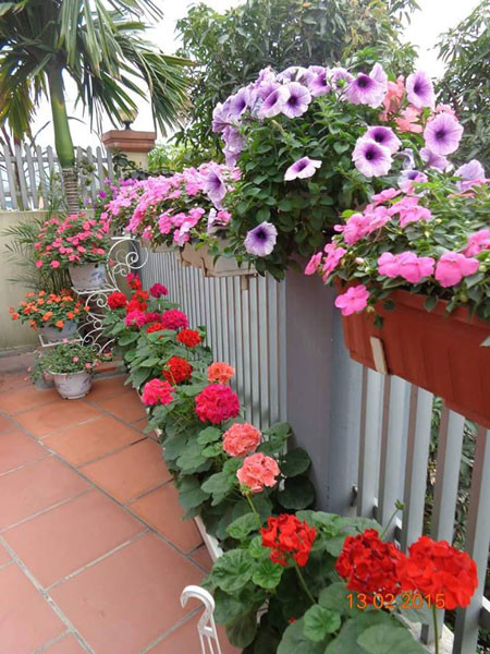 Ngôi nhà ba tầng lãng mạn với hoa nở quanh năm ảnh 5