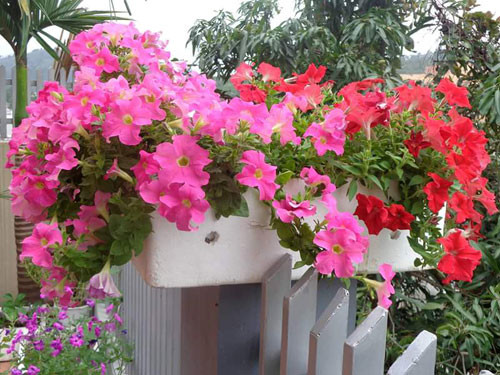 Ngôi nhà ba tầng lãng mạn với hoa nở quanh năm ảnh 8