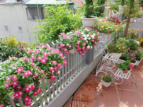 Ngôi nhà ba tầng lãng mạn với hoa nở quanh năm ảnh 3