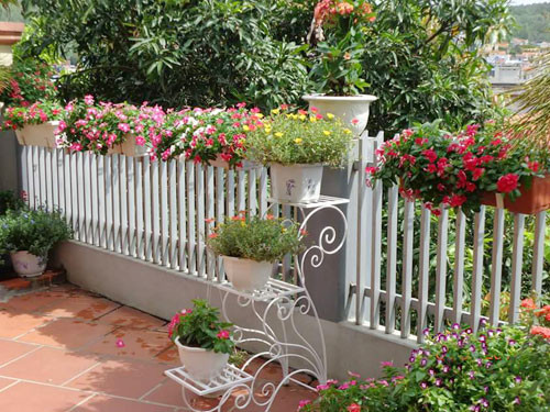 Ngôi nhà ba tầng lãng mạn với hoa nở quanh năm ảnh 15