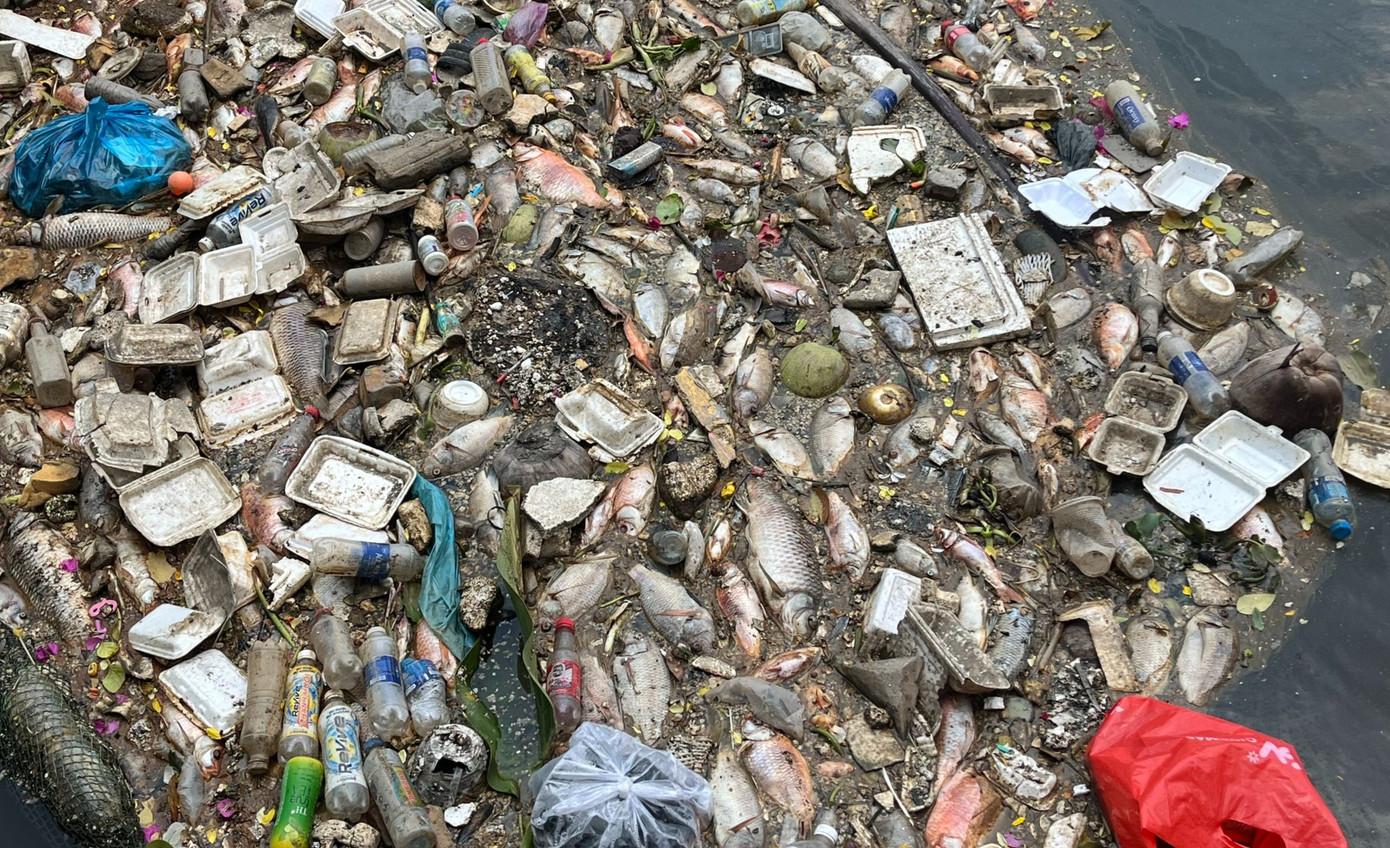 Việc cá chết và rác dồn ứ thường xuất hiện sau khi TPHCM xuất hiện những cơn mưa lớn đầu mùa.