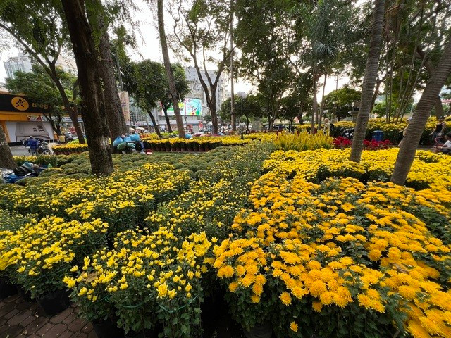 Hoa Tết ngập tràn tại TPHCM Hoa Tết ngập tràn tại TPHCM
