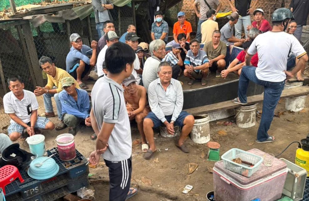 Hàng chục con bạc bị bắt quả tang tại trường đá gà.