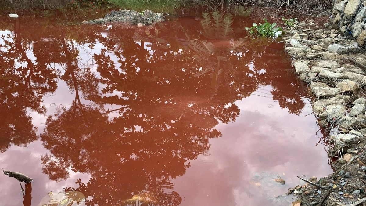 Một đoạn nước kênh T10 chuyển qua màu đỏ và bốc mùi hóa chất. Một đoạn nước kênh T10 chuyển qua màu đỏ và bốc mùi hóa chất.