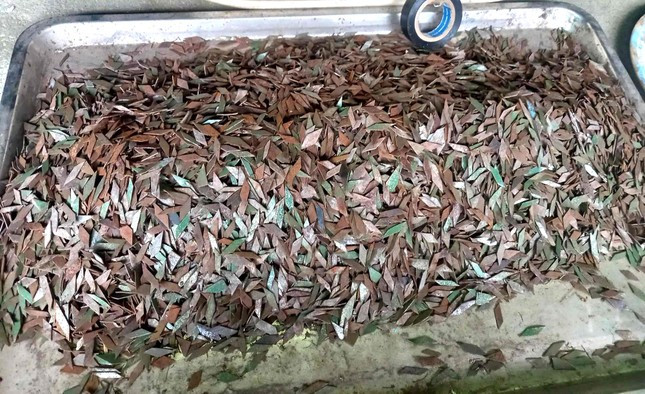 Kim loại nhọn hình thoi được xe hút đinh thu gom trên tuyến quốc lộ 1A đoạn Bình Dương giáp TPHCM.