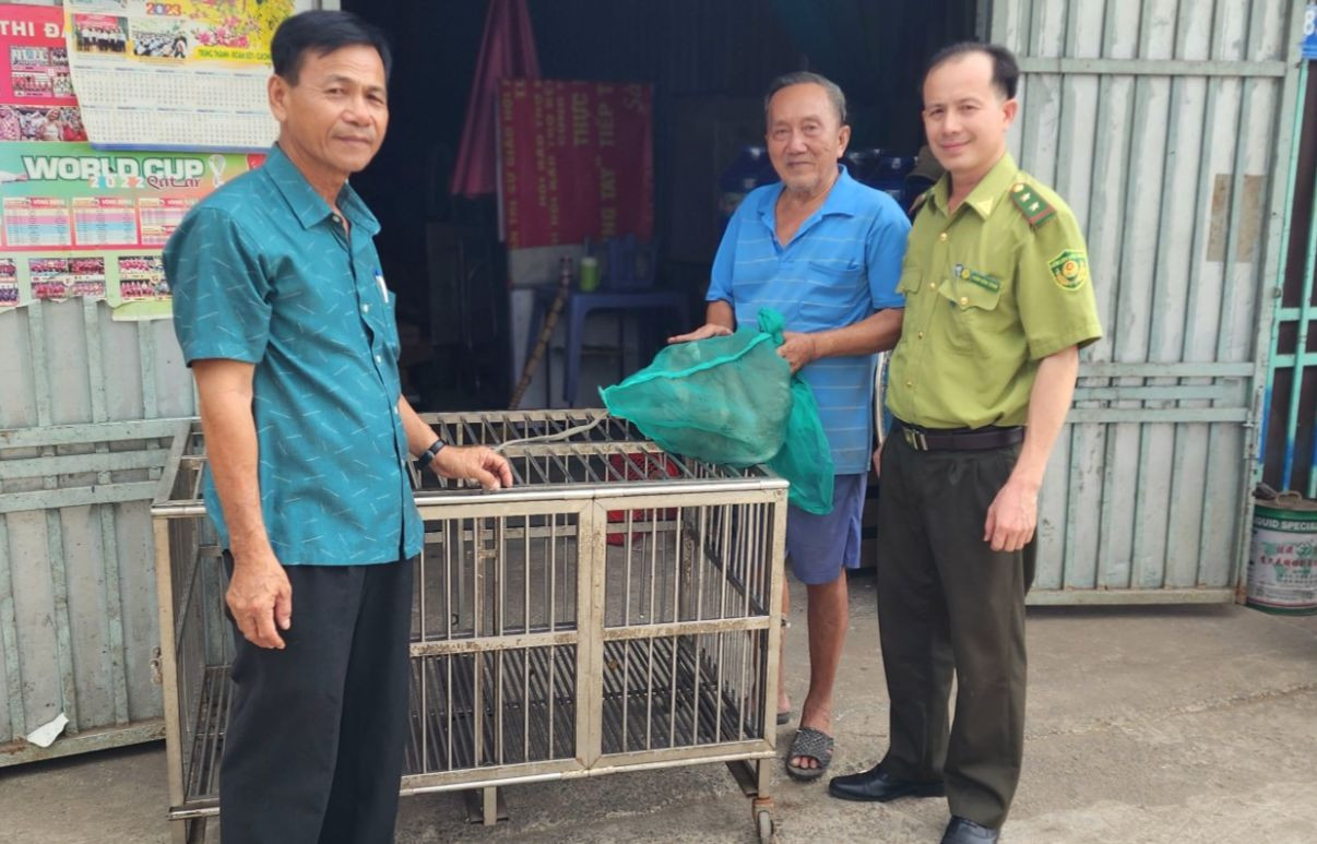 Ông Mai Văn Lộc (ngụ xã Lê Minh Xuân, huyện Bình Chánh, đứng giữa) giao nộp một con khỉ đuôi lợn đực cho Chi cục Kiểm lâm TPHCM