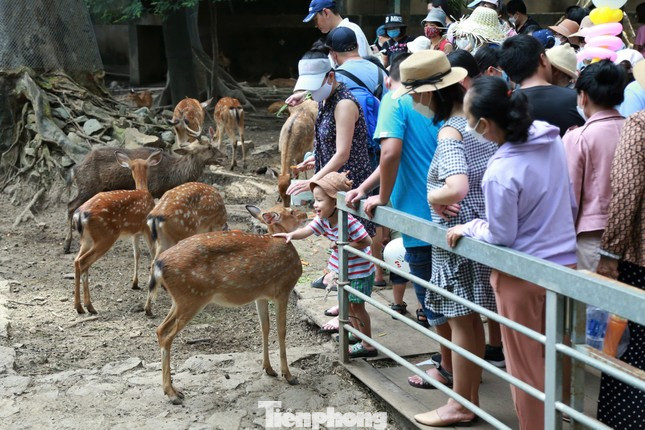 Người dân nghỉ ngơi, vui chơi với các loài động vật tại Thảo cầm viên Sài Gòn. Ảnh: Ngô Tùng