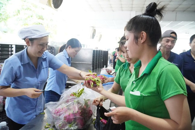 Tặng trái cây cho công nhân. Tặng trái cây cho công nhân.