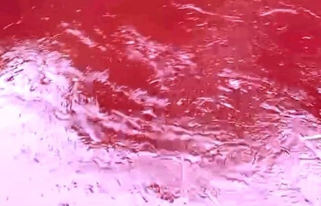 Nước suối màu đỏ như máu Ảnh: cắt từ clip