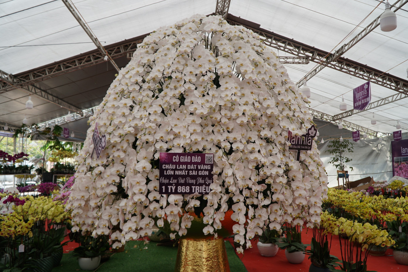 Theo anh Khanh, con số 868 cành hoa và chậu dát vàng mang ý nghĩa về sự phú quý, sung túc, phát tài phát lộc trong những ngày đầu xuân. Các thợ lành nghề phải thực hiện hơn 5 ngày mới có thể hoàn thành tác phẩm.