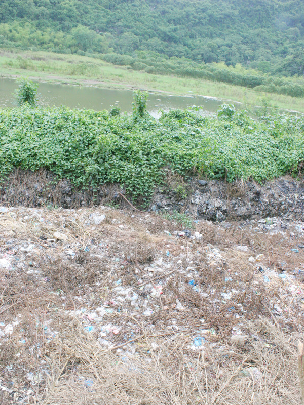 Hố rác lớn bên suối Yến. Hố rác lớn bên suối Yến
