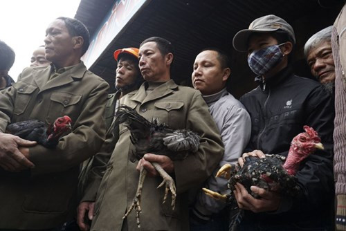 Người dân cả nước đón giao thừa Tết Đinh Dậu ảnh 56