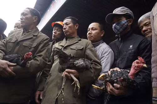 Người dân cả nước đón giao thừa Tết Đinh Dậu ảnh 56