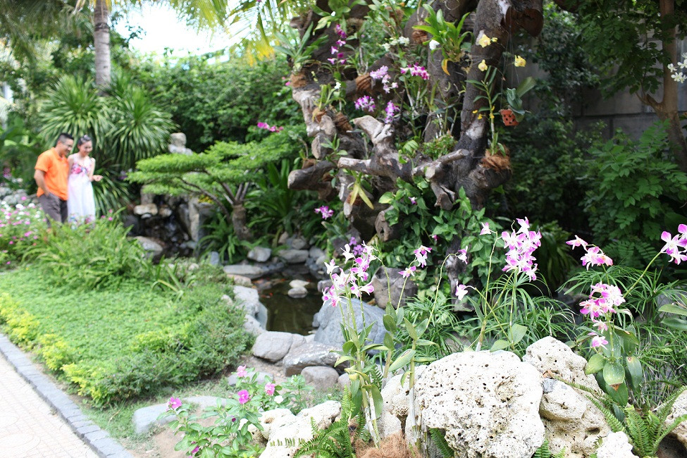 Với những ai thích thú chơi tao nhã thì Vườn lan tại khu Công viên nước sẽ là nơi lý tưởng để tận hưởng một khoảng không gian mát dịu và chiêm ngưỡng loài hoa quý tộc đủ màu
