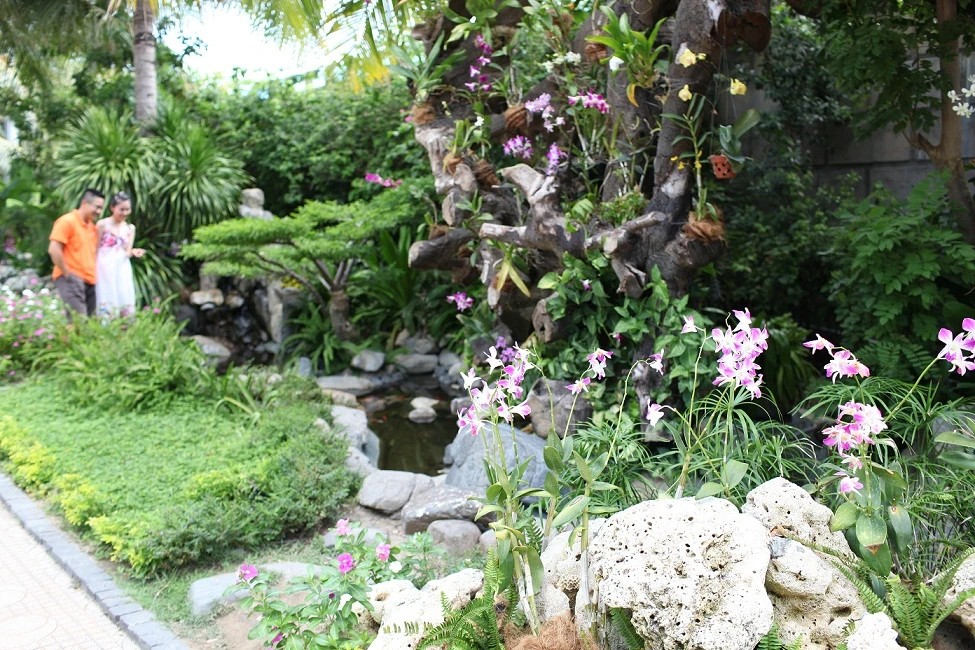 Với những ai thích thú chơi tao nhã thì Vườn lan tại khu Công viên nước sẽ là nơi lý tưởng để tận hưởng một khoảng không gian mát dịu và chiêm ngưỡng loài hoa quý tộc đủ màu