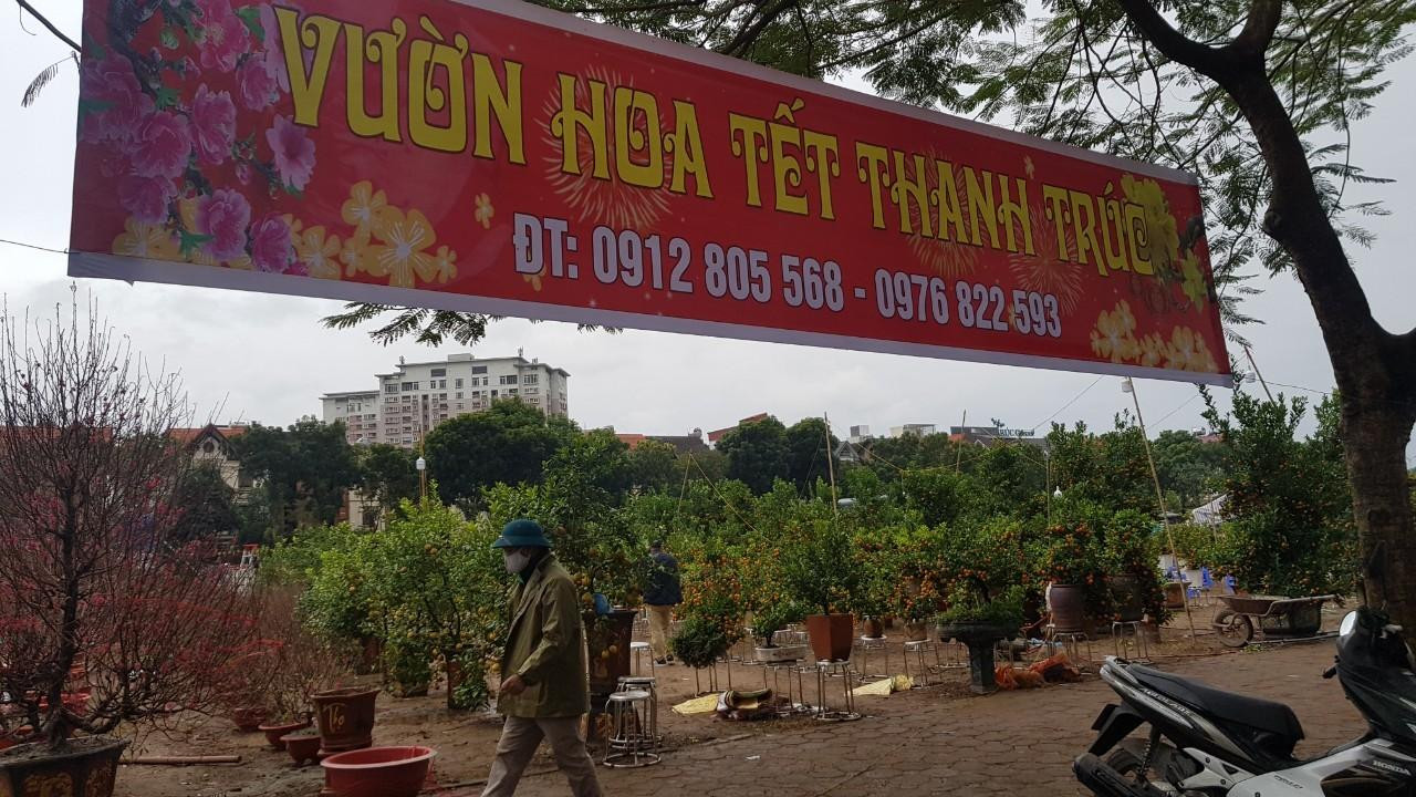 Dù đã gần trưa nhưng vì mưa rét nên các tuyến phố lớn tại Hà Nội thưa thớt khách vào mua cây. Dù đã gần trưa nhưng vì mưa rét nên các tuyến phố lớn tại Hà Nội thưa thớt khách vào mua cây.