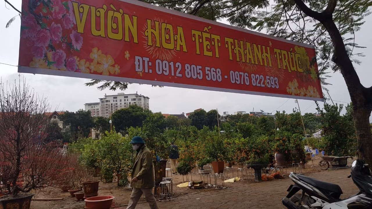 Dù đã gần trưa nhưng vì mưa rét nên các tuyến phố lớn tại Hà Nội thưa thớt khách vào mua cây. Dù đã gần trưa nhưng vì mưa rét nên các tuyến phố lớn tại Hà Nội thưa thớt khách vào mua cây.
